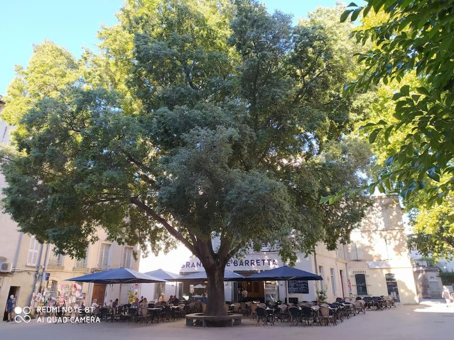 Bel Appartement Dans Centre Historique Avignon Extérieur photo
